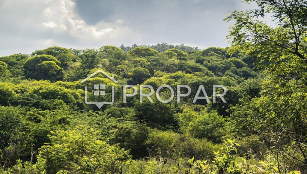 Terreno Quebrada de los Nogales