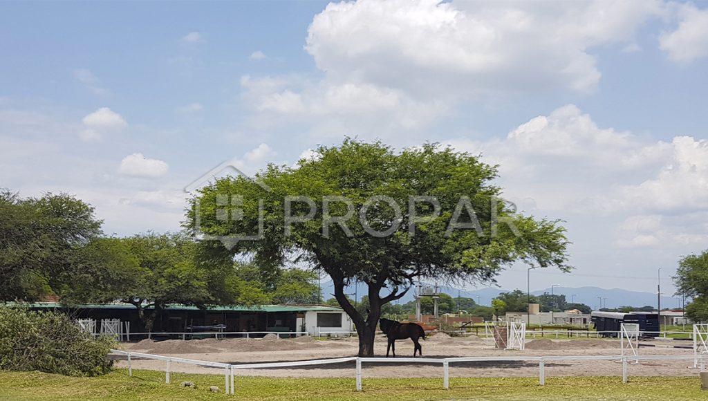 Terrenos B° El Prado